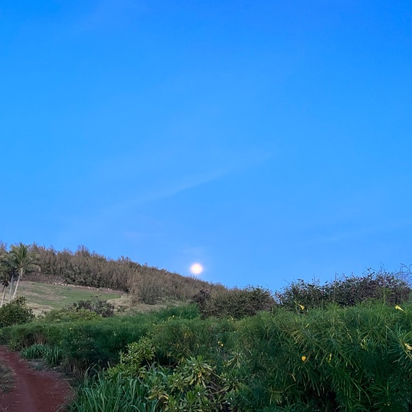 Meet your Posher, Shannon - Picture 1 of 1